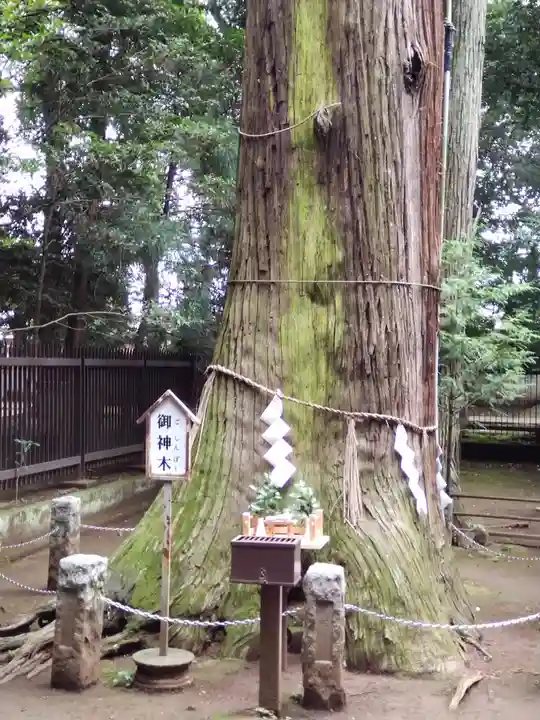 一言主神社(茨城県)