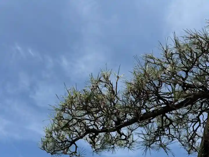 西方山極楽寺(岐阜県)