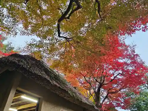 華厳寺（鈴虫寺）(京都府)