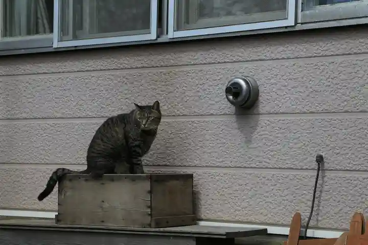 虻田神社の動物