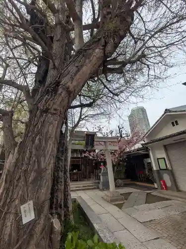 飛木稲荷神社の自然