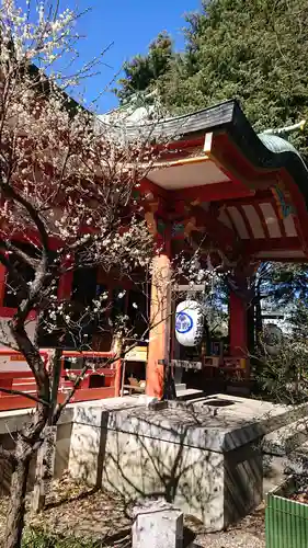 芝東照宮の自然