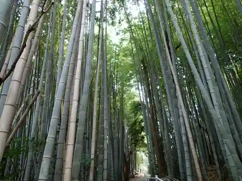 静火神社の自然