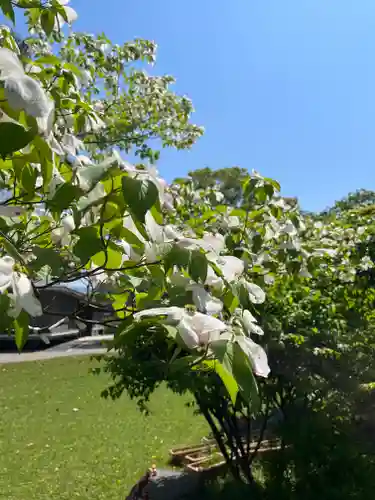 大安寺(奈良県)