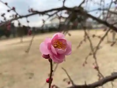 美奈宜神社(福岡県)