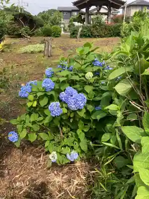 天徳寺(神奈川県)