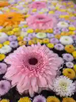 高円寺氷川神社(東京都)