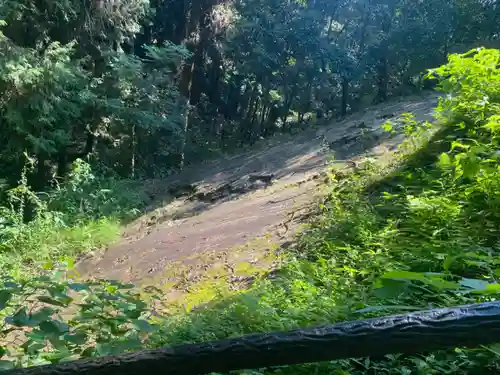 武蔵二宮 金鑚神社(埼玉県)