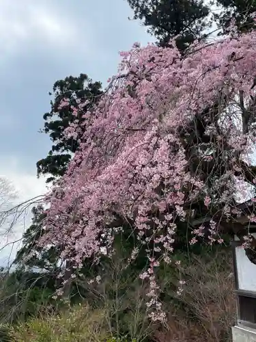 高尾山薬王院の自然