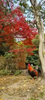 熱田神宮(愛知県)