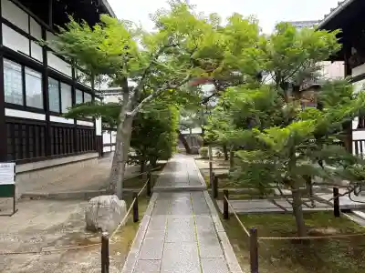 退耕庵(京都府)