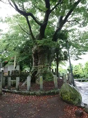 蓑笠神社のその他建物