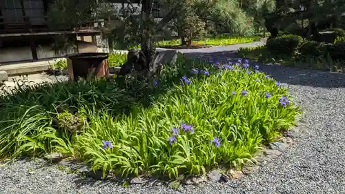得浄明院（善光寺別院）(京都府)