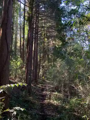 大杉神社の庭園