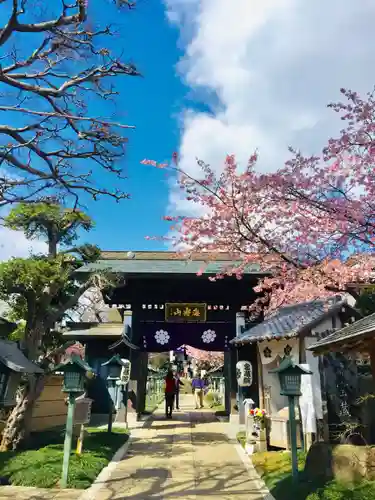 密藏院の山門