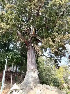 油日神社(滋賀県)