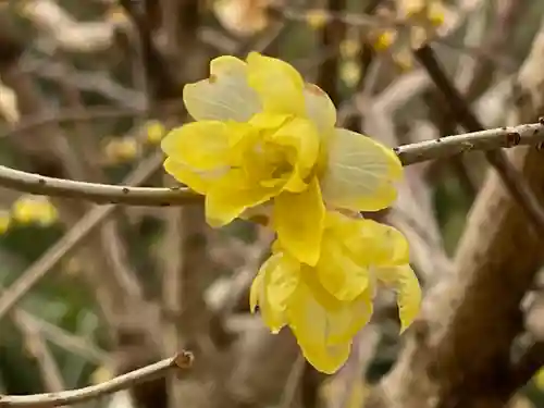 浄瑠璃寺(京都府)