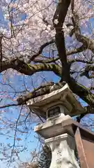 大豊神社(京都府)