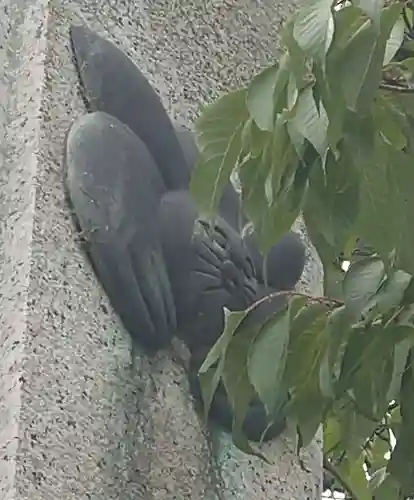 三尾神社(滋賀県)