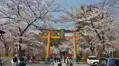 平野神社の鳥居