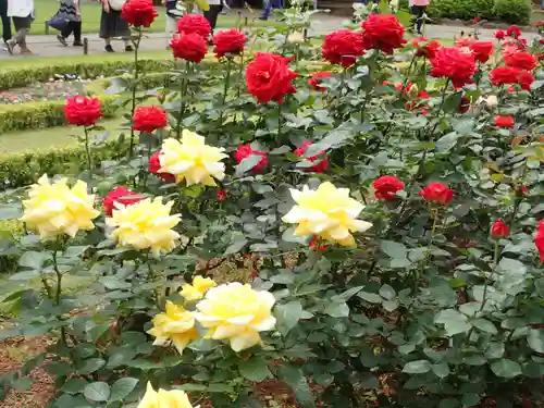 大國神社(東京都)