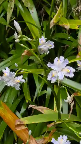 椎尾神社の自然