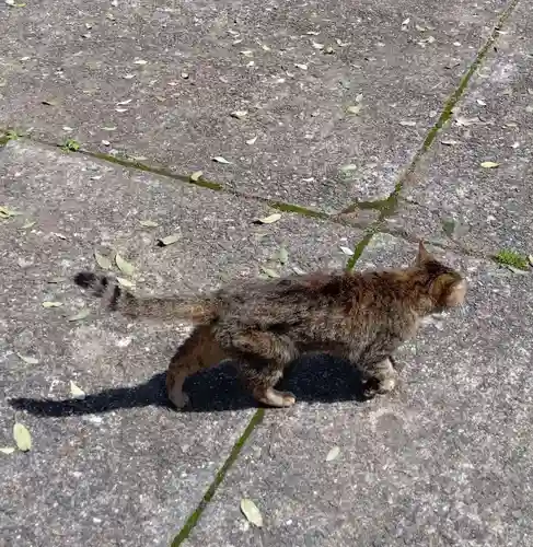 榛名神社(群馬県)