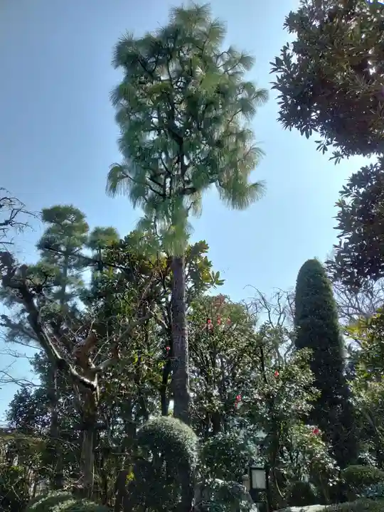 本光寺(東京都)