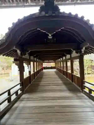 清凉寺の{uncategorized: "未分類", other: "その他", undefined: "問題あり", building: "その他建物", grave: "お墓", sacred_gate: "鳥居", guardian: "狛犬", statue: "像", buddha: "仏像", history: "歴史", nature: "自然", garden: "庭園", animal: "動物", pagoda: "塔", temizu: "手水舎", mountain_gate: "山門・神門", sanctuary: "本殿・本堂", subordinate: "末社・摂社", art: "芸術", scenery: "景色", jizo: "地蔵", ema: "絵馬", goshuin: "御朱印", omikuji: "おみくじ", items: "授与品その他", amulet: "お守り", goshuincho: "御朱印帳", eats: "食事", festival: "お祭り", votive_dance: "神楽", shichigosan: "七五三参", wedding: "結婚式", experience: "体験その他", initially: "初詣", around: "周辺", anti_infection: "感染症対策"}