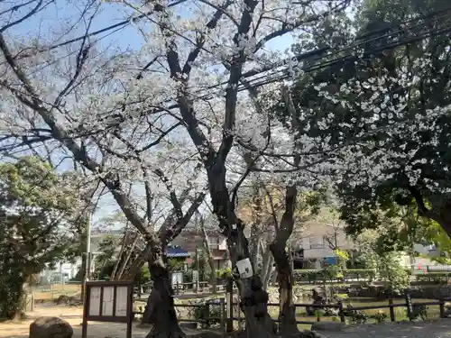 師岡熊野神社(神奈川県)