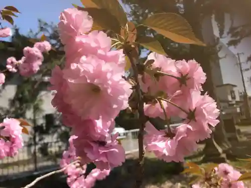 諏方神社(福島県)