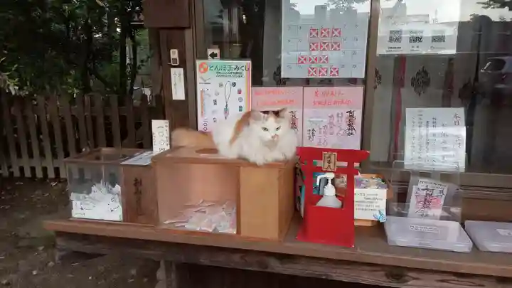 阿邪訶根神社の動物