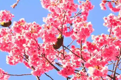 荏原神社(東京都)