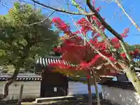 摩尼院(金剛寺子院)(大阪府)