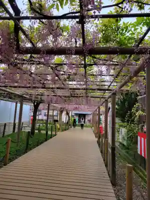 曼陀羅寺の庭園