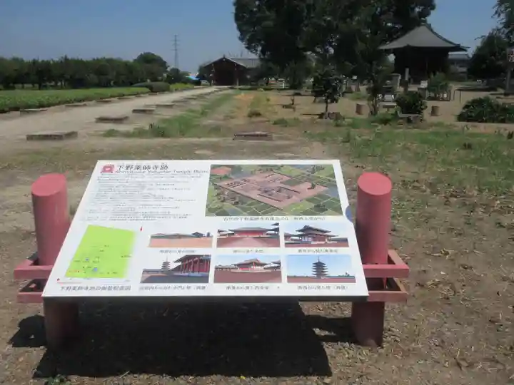 下野薬師寺 (旧 安國寺)(栃木県)