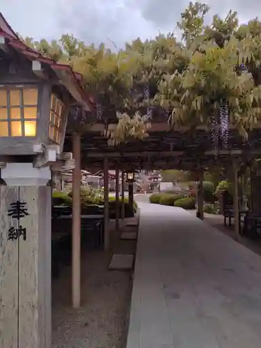 金蛇水神社(宮城県)