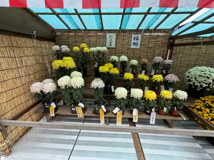 諏訪大社(長野県)