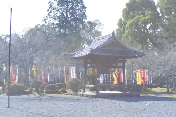 醍醐寺(京都府)