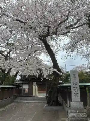 増明院(東京都)