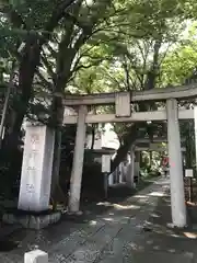 自由が丘熊野神社の鳥居