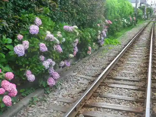 御霊神社の周辺