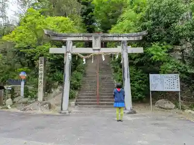 曽野稲荷神社の鳥居