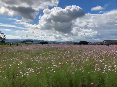 橿原神宮(奈良県)