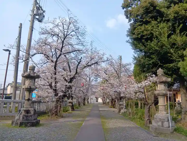酒見神社の御朱印