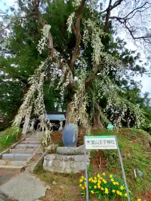 堂山王子神社のその他建物
