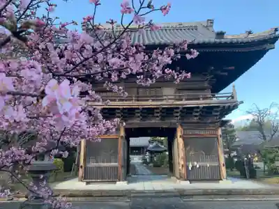 妙顕寺の山門・神門