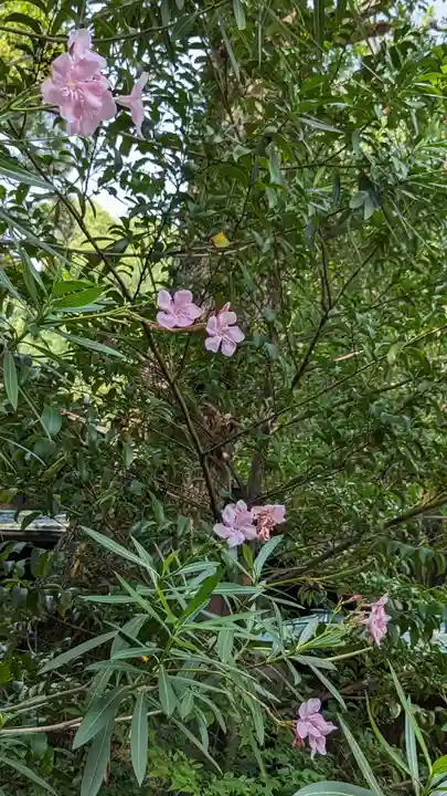 岡崎神社(京都府)