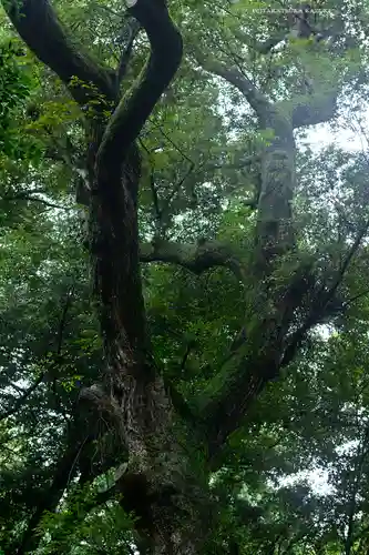 鹿島神宮(茨城県)