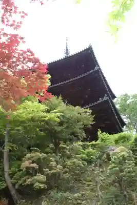 當麻寺中之坊(奈良県)